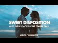 Lost Frequencies x The Temper Trap - Sweet Disposition (a moment, a love) (Lyrics / Visualizer)