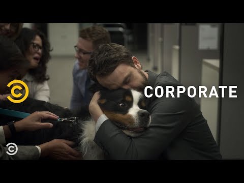 Everyone Loses It When Someone Brings a Dog to Work - Corporate