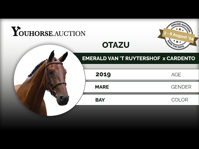 Otazu trainingsvideo