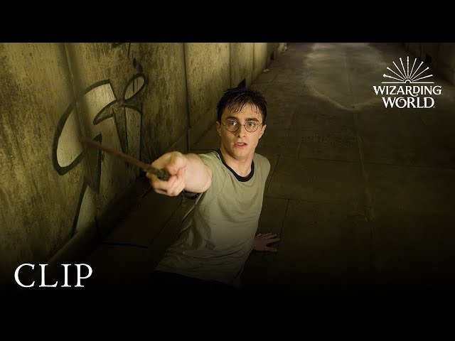 Harry Saves Dudley From a Dementor's Kiss