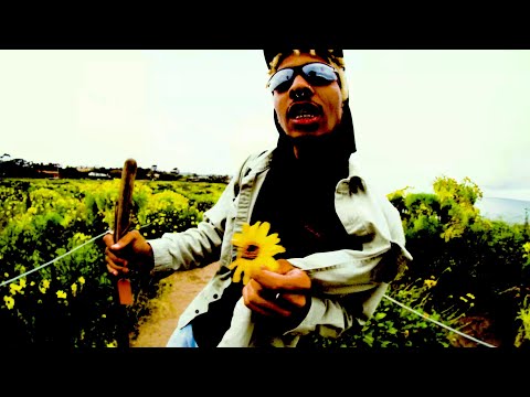 The Vano Special (Music Video)