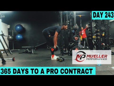 NEW 12 WEEK TRAINING PROGRAM | DAY 243