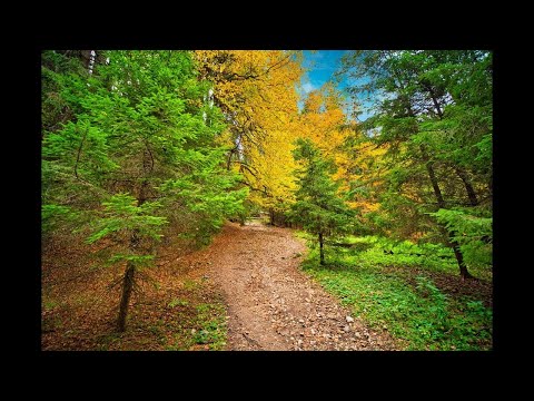🇹🇩 Romania 4k: Piatra Mare [L]- oct.2020