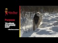 Видео о товаре Durable dog boots, обувь для собак, водонепроницаемая / Ultra Paws (США)