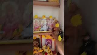 Download lagu Karpura nayaki mp3 Download lagu Karpura nayaki mp3