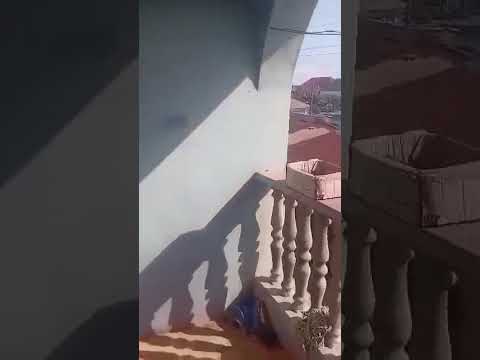 3-Bedroom Flat Upstairs