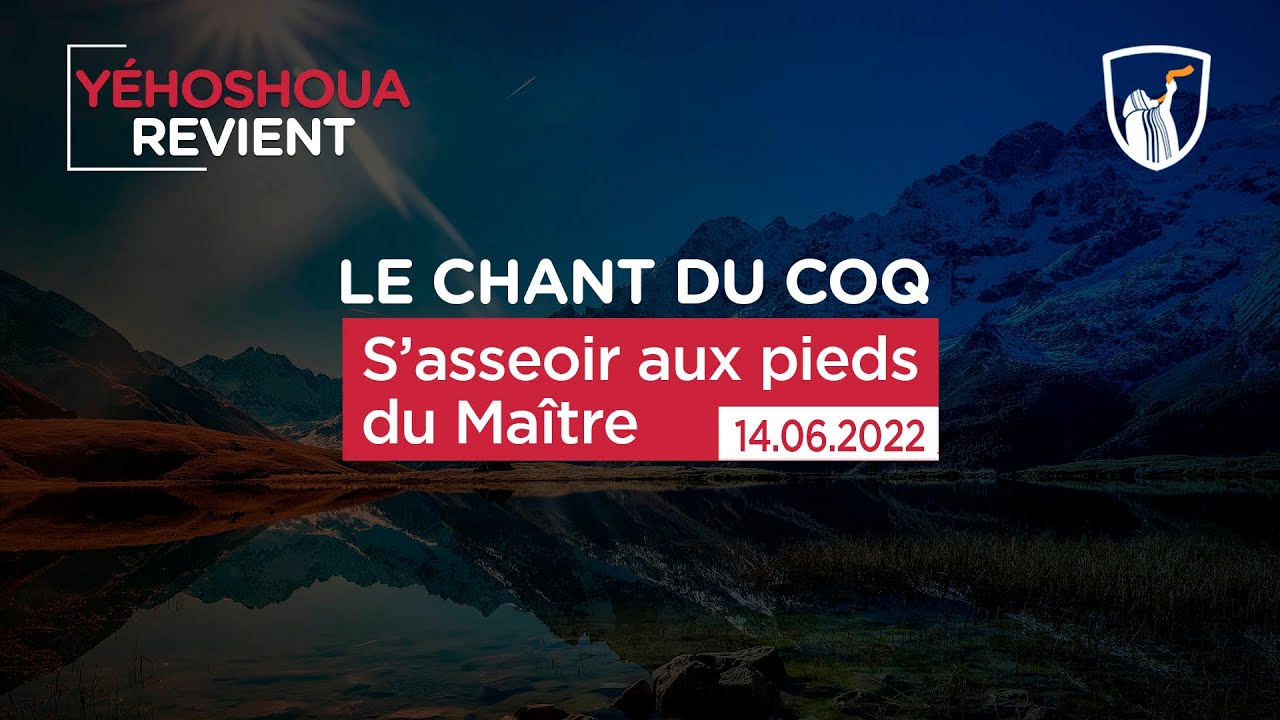 Thumbnail of video: S’asseoir aux pieds du Maître