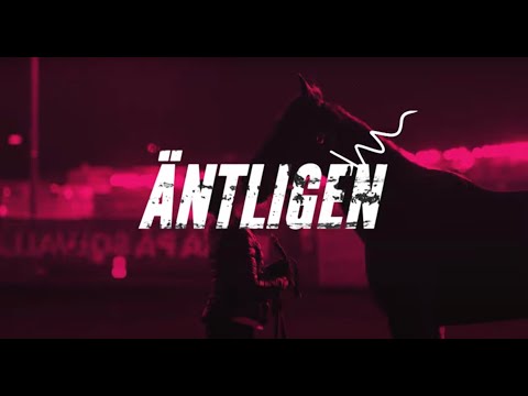 V75 Halmstad | Äntligen V75 - Sveriges nya V75-magasin