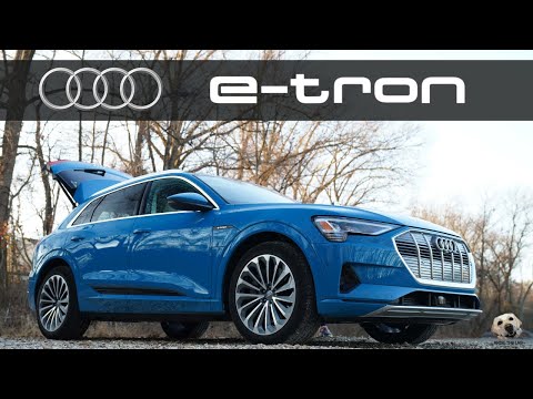 2019/2020 Audi e-tron + ASUS Giveaway: Andie the Lab Review! Video