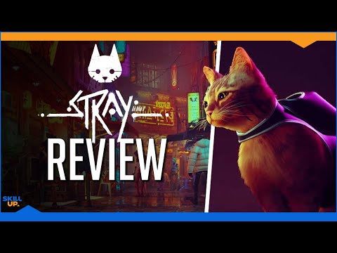 I recommend: Stray (Review)