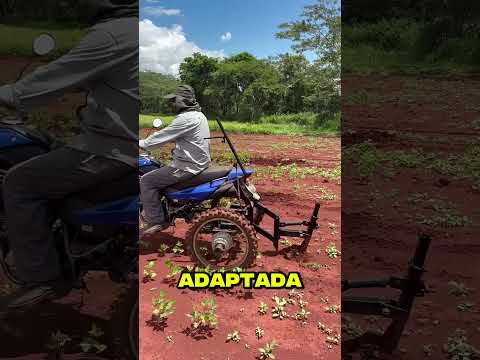 Una moto vieja convertida en MÁQUINA de trabajar la tierra 😳