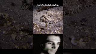 Nature’s Ultimate Trap: The Anglerfish