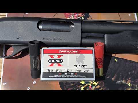 Why 243 Winchester Is a Hidden Gem for Hunters