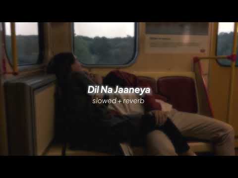 Dil Na Jaaneya [slowed + reverb] - Arijit Singh