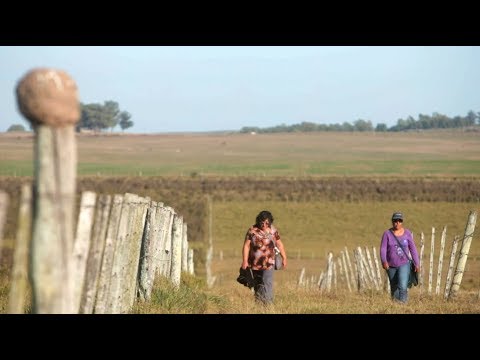 “Las mujeres de la chacra” así son conocidas las integrantes de la cooperativa Aire y Tierra