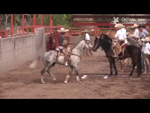 Jose Andres Aceves "El Chiringas" Piales