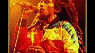 Bob Marley - Bus Dem Shut (Pyaka)
