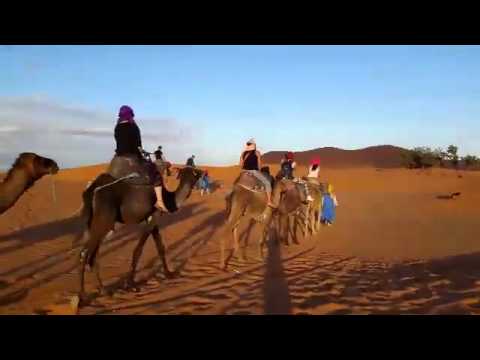 Camel ride in the last trip we had to desert