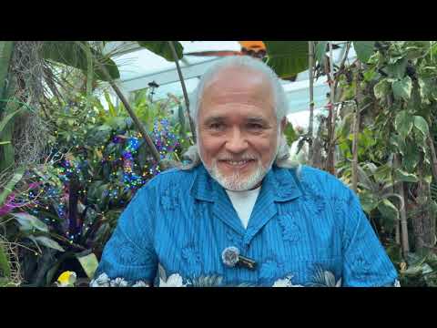 FRANK26….3-2-26……BANK STORY