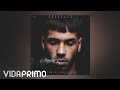 Anuel AA - En El Castillo [Official Audio]