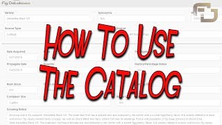 How to use the catalog | Fig Database