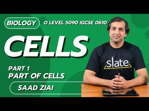 Cells | Part 1: Parts of cells | O Level | Biology 5090 | Saad Ziai | SLATE
