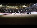 Jenny Vidbel 6 Horses At Liberty Horse World Expo 2023
