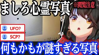 【心霊】何がなんだかわからない不気味な写真【にじさんじ/ましろ/切り抜き】