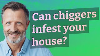 Can chiggers infest your house?