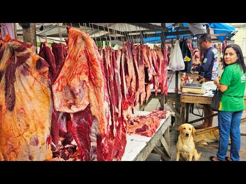 VISITA A FEIRA DE BELÉM DE MARIA-PE