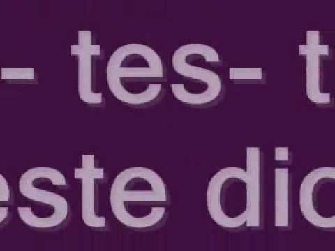 house rockerz -- testosteron (Remix) [Lyrics]