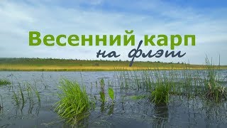 Карп ловля весной на метод