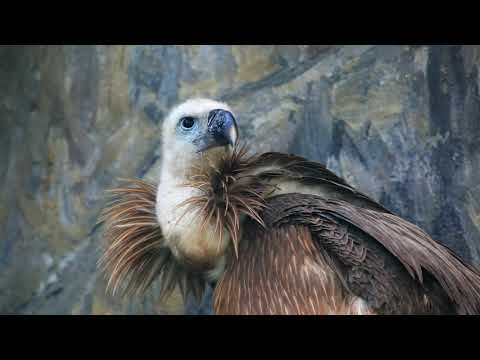 06 Riserva Naturale del Lago di Cornino