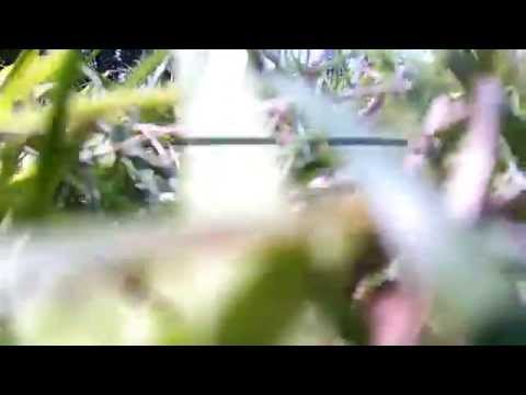 Dromida Ominus FPV first flight