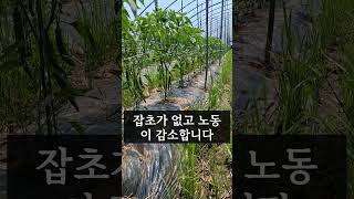 "왜 농사가 힘들어지는가?"[이장집 에너지 농법] #farming