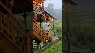 Download lagu Adem Banget Saat Hujan Deras Di Saung #halamanbelakangkebon Bikin Betah #village #viral #hujan #fyp mp3