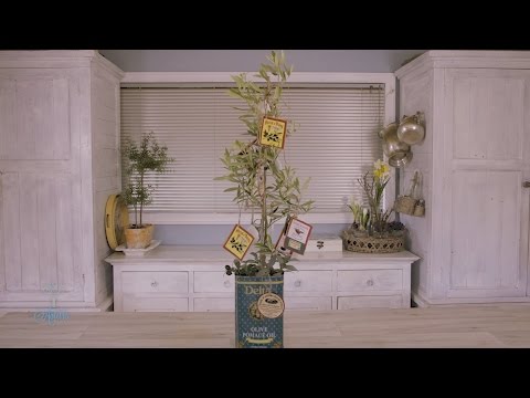 download lagu mp3 mp4 Italian Inspired Christmas Gifts, download lagu Italian Inspired Christmas Gifts gratis, unduh video klip Italian Inspired Christmas Gifts
