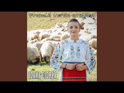 Frunză verde stejărel