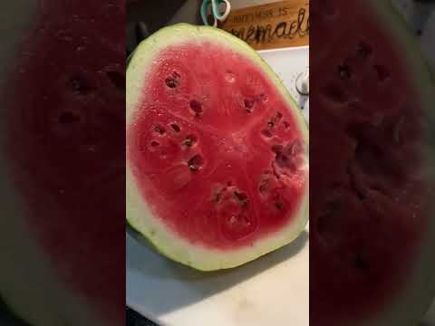 The EASIEST Way To Tell If A Watermelon Is Ripe!