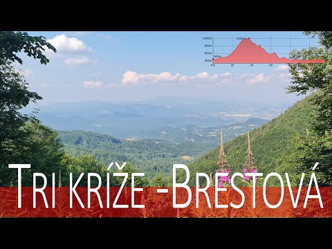 Cyklotrasa Banská  Bystrica -Králiky -Laurin -Brestová -Sielnica -BB