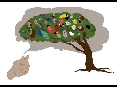 Marc - Chapitre 4 - Verset 30 à 34