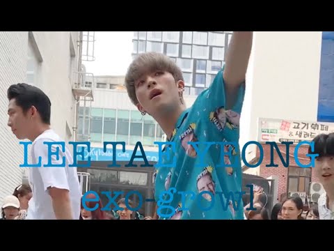 190816 엑소(exo)-으르렁(growl) [이태영(lee tae yeong) focus] dancecover