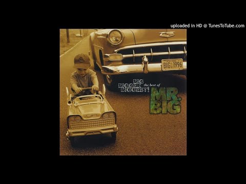14 - Mr. Big - Not one night (Album: Big, Bigger, Biggest The Best Of)