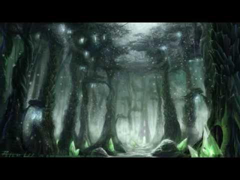 Terokkar Forest at night