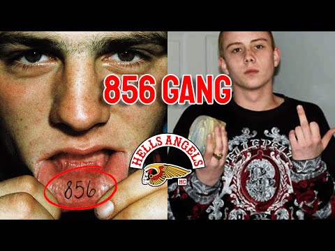 856 Gang: Group of BC Teens Turn Into MULTI PROVINCIAL Gang