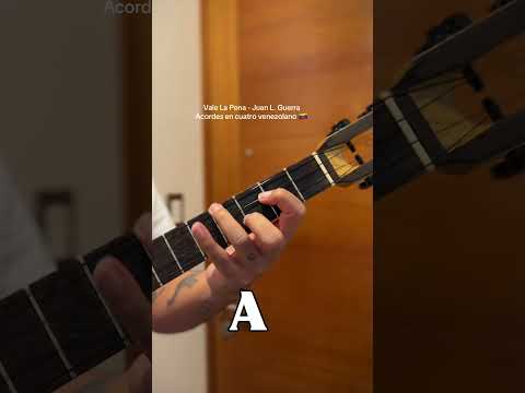 Cancíon de Calidad - Juan Luis Guerra