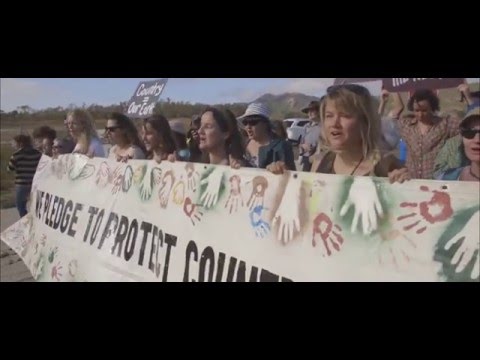 Break Free From Fossil Fuels