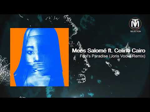Mees Salomé feat. Celine Cairo - Fool's Paradise (Joris Voorn Remix) [Spectrum]