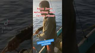 Download lagu Mancing Mania 2022 strike awalan pagi /Fishing Mania 2022 early morning strike mp3
