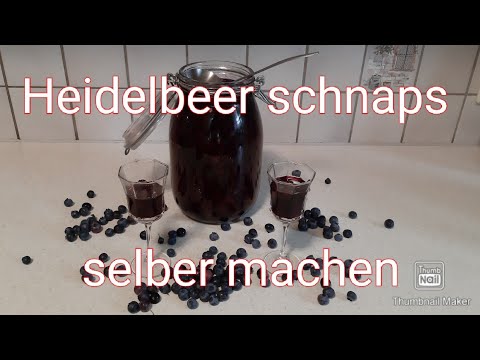 Heidelbeer Schnaps selber machen